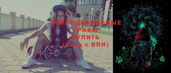 амф Алексин