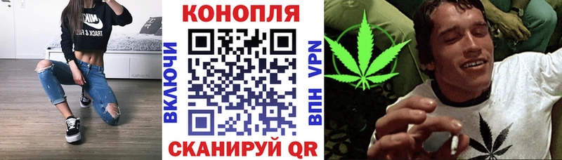 магазин  наркотиков  Калининск  Канабис план 